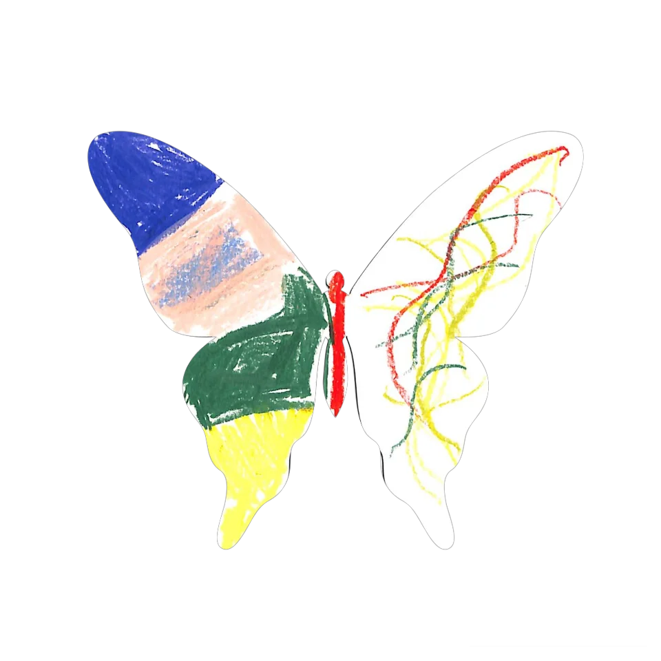 Original Butterfly Image