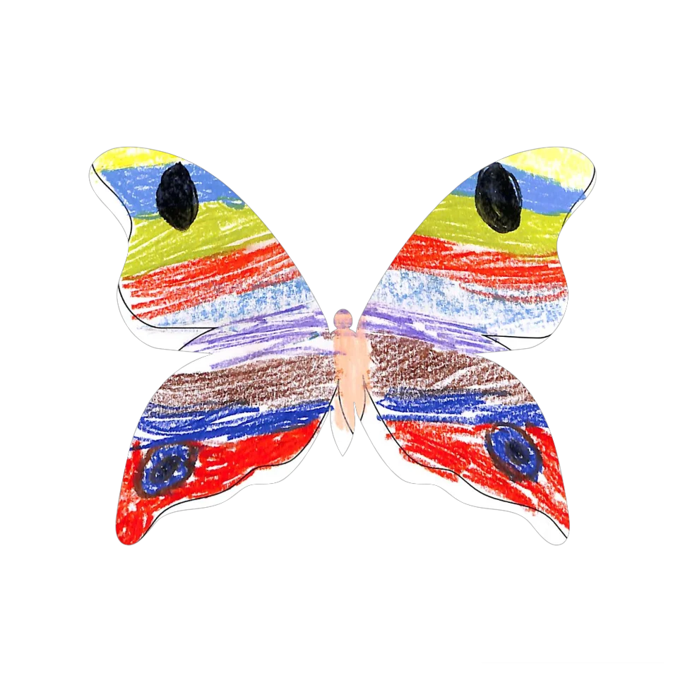Original Butterfly Image