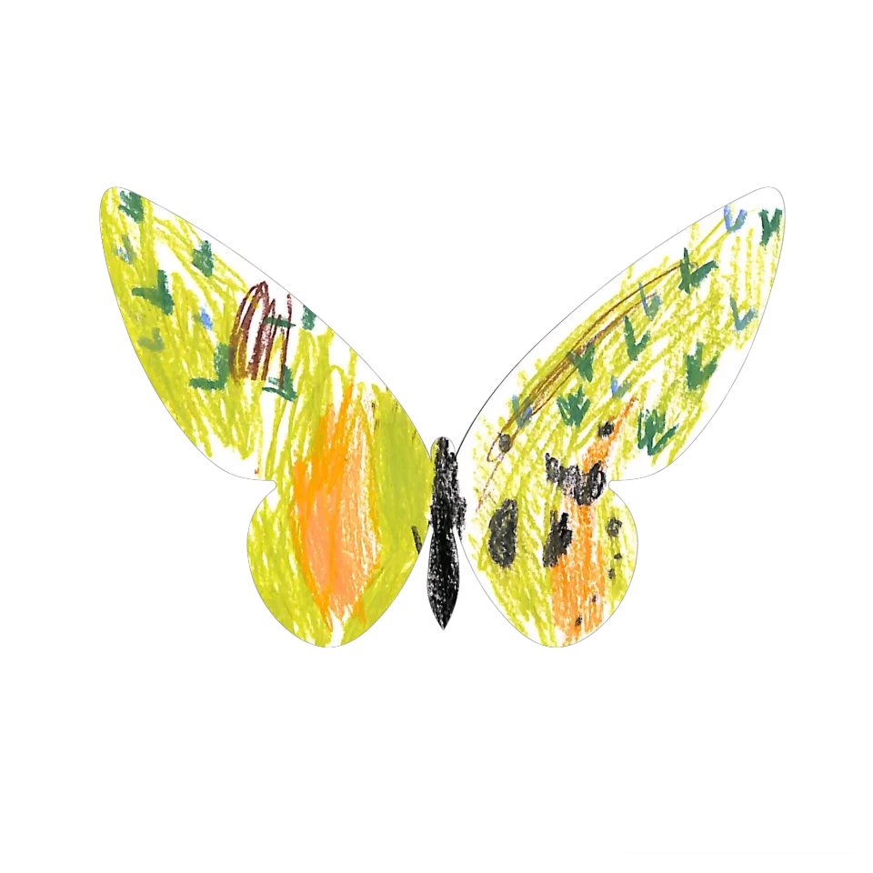 Original Butterfly Image