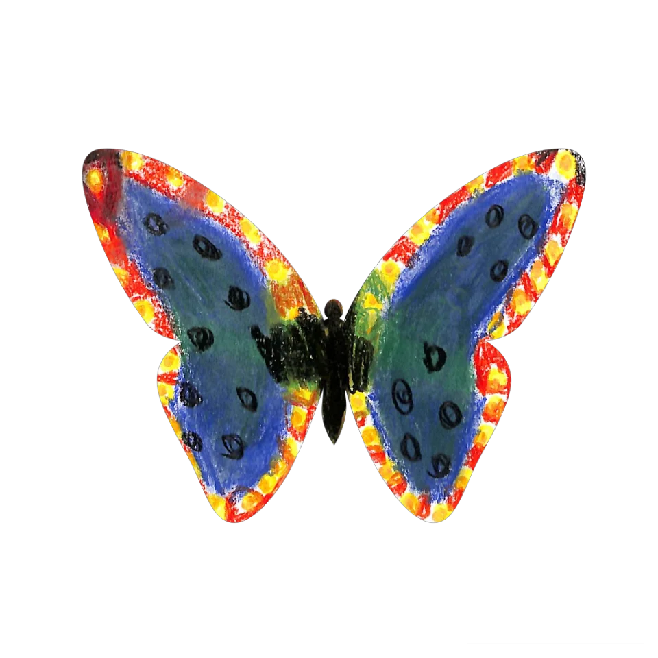 Original Butterfly Image