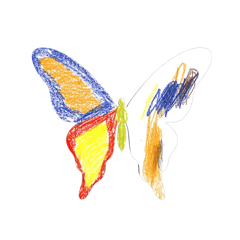 Original Butterfly Image