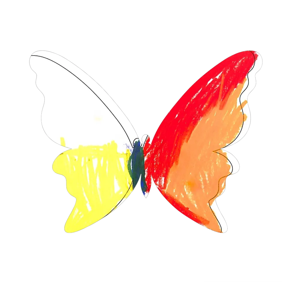 Original Butterfly Image