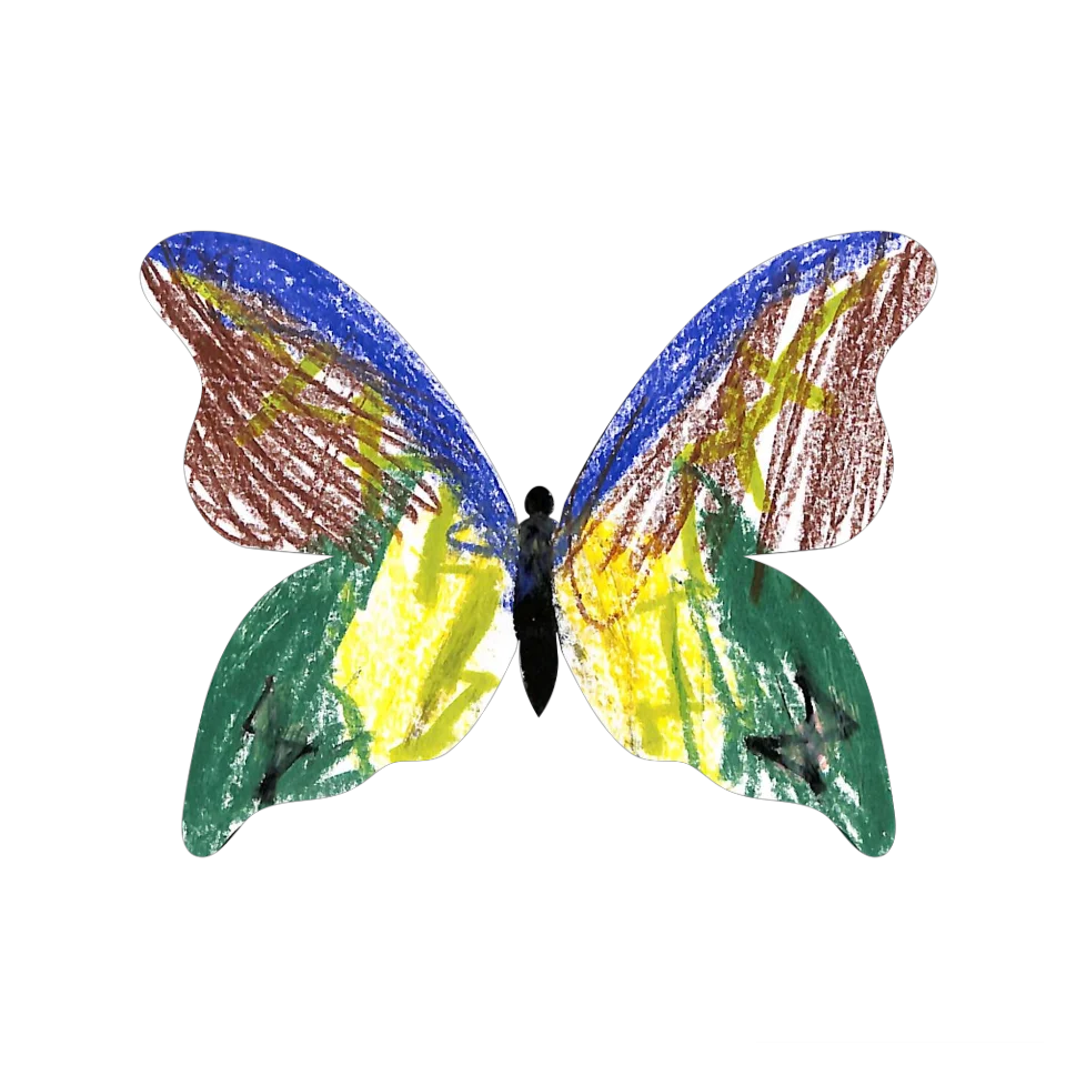 Original Butterfly Image