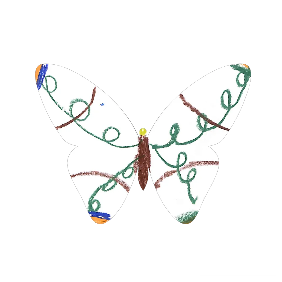 Original Butterfly Image
