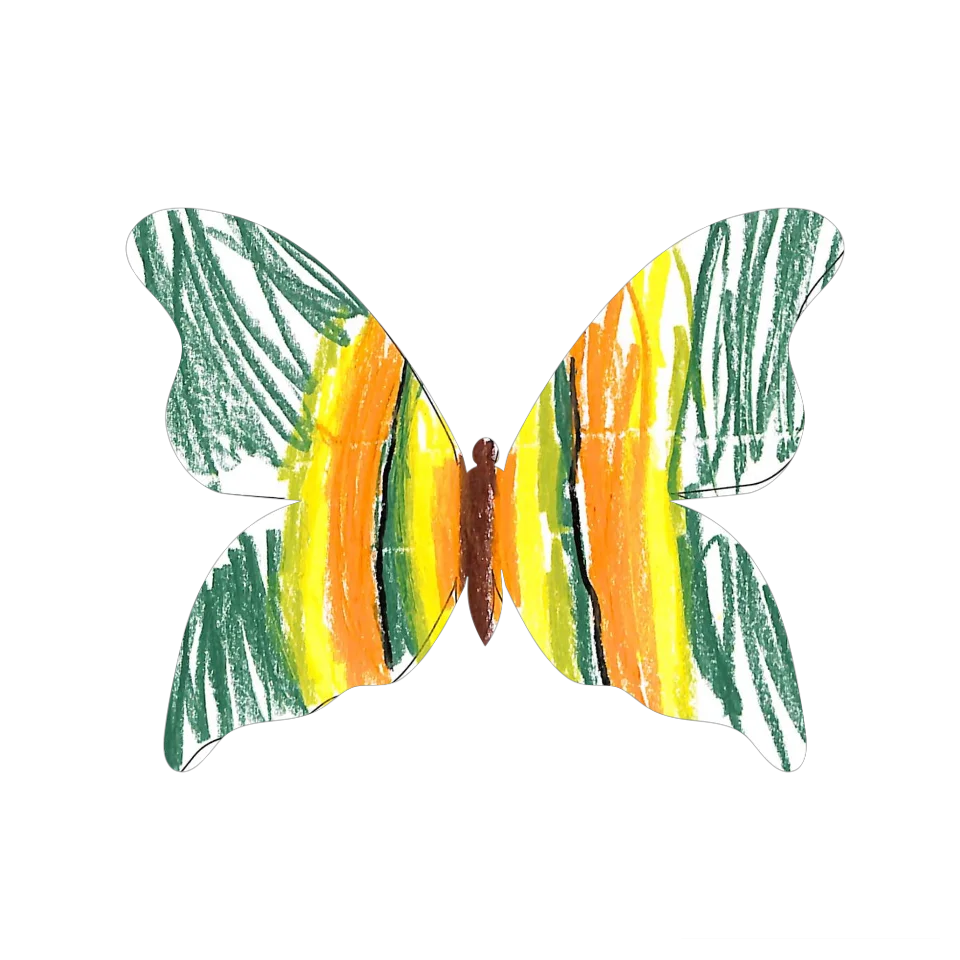 Original Butterfly Image