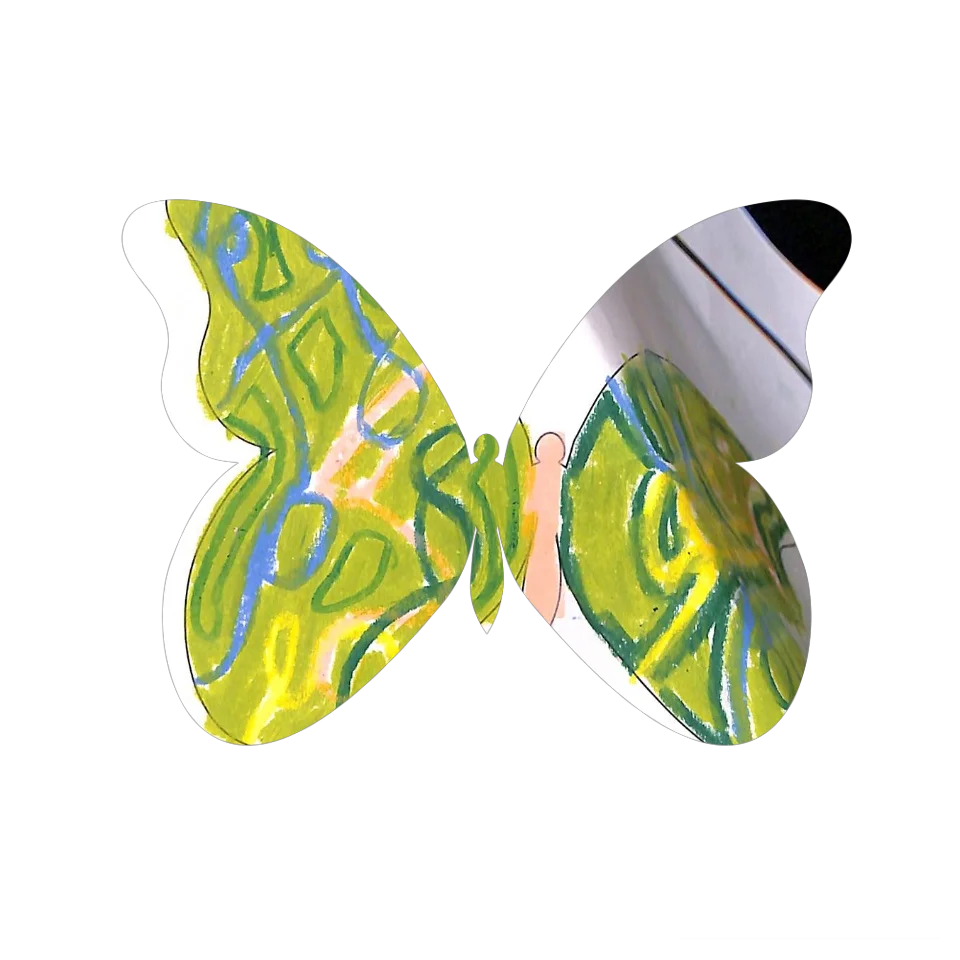 Original Butterfly Image