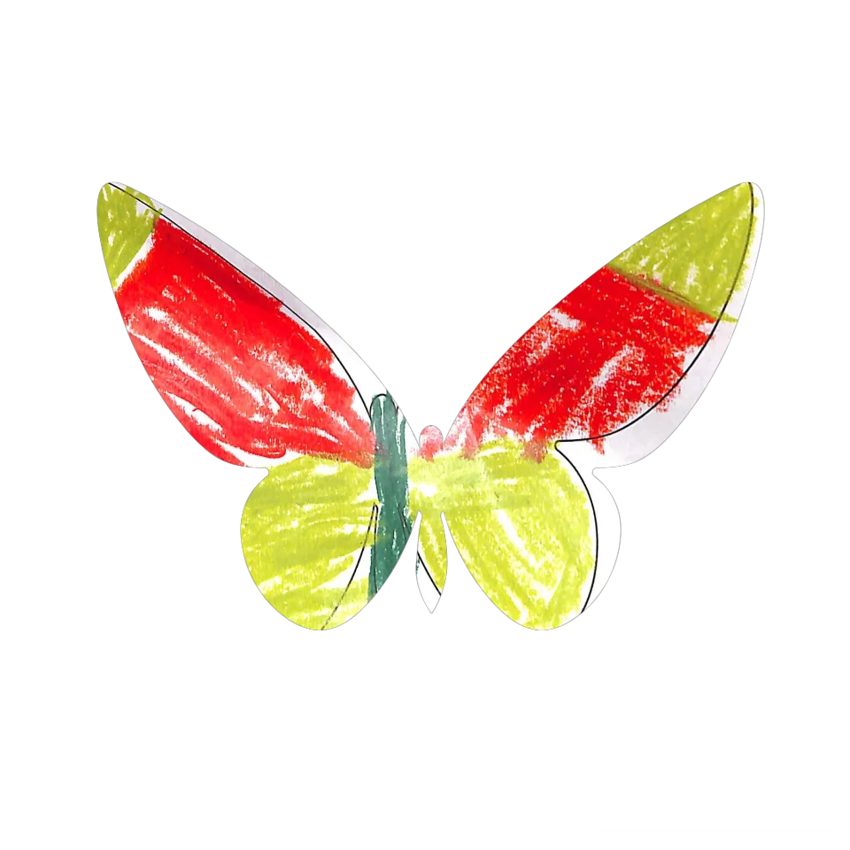 Original Butterfly Image