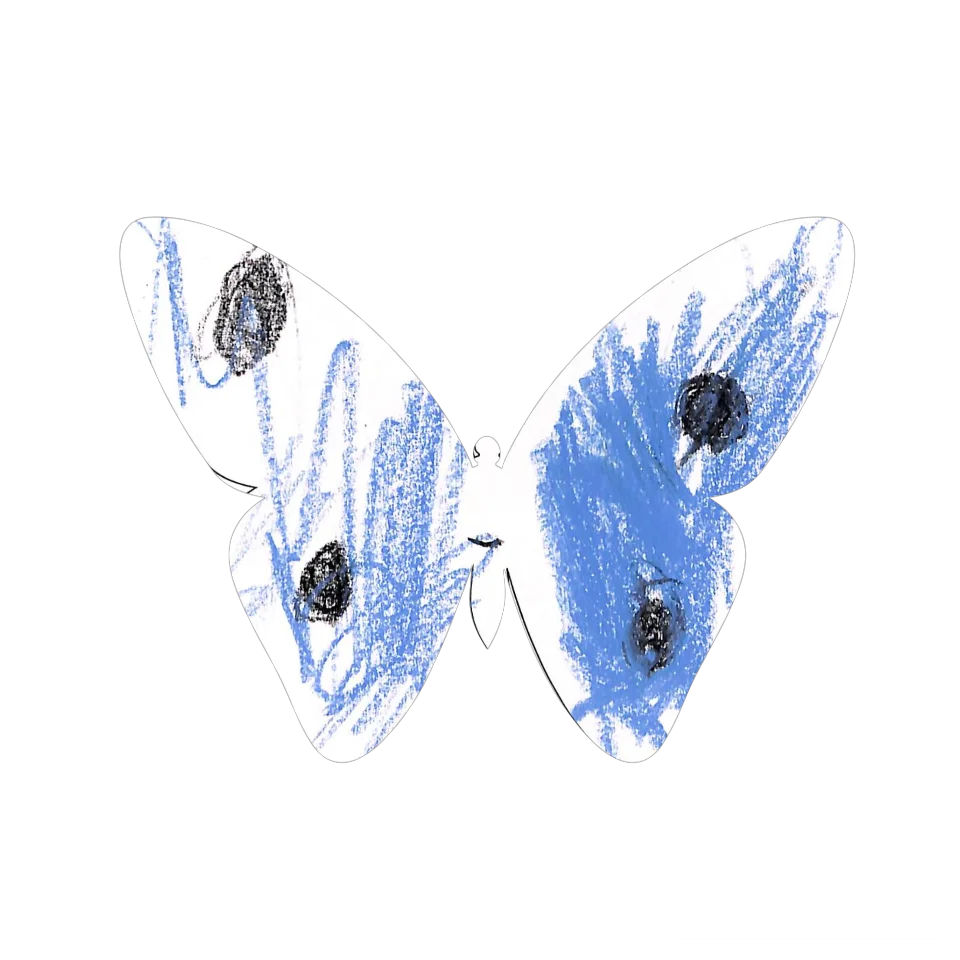 Original Butterfly Image