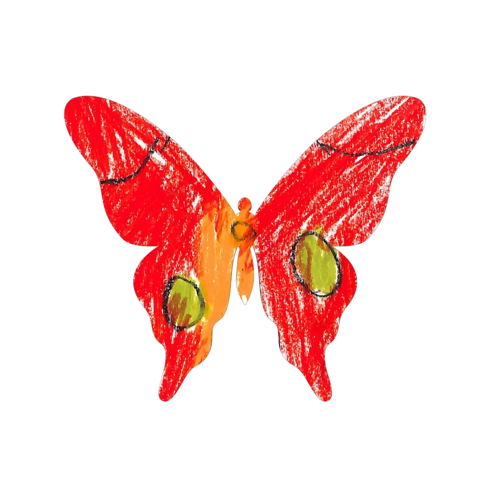 Original Butterfly Image