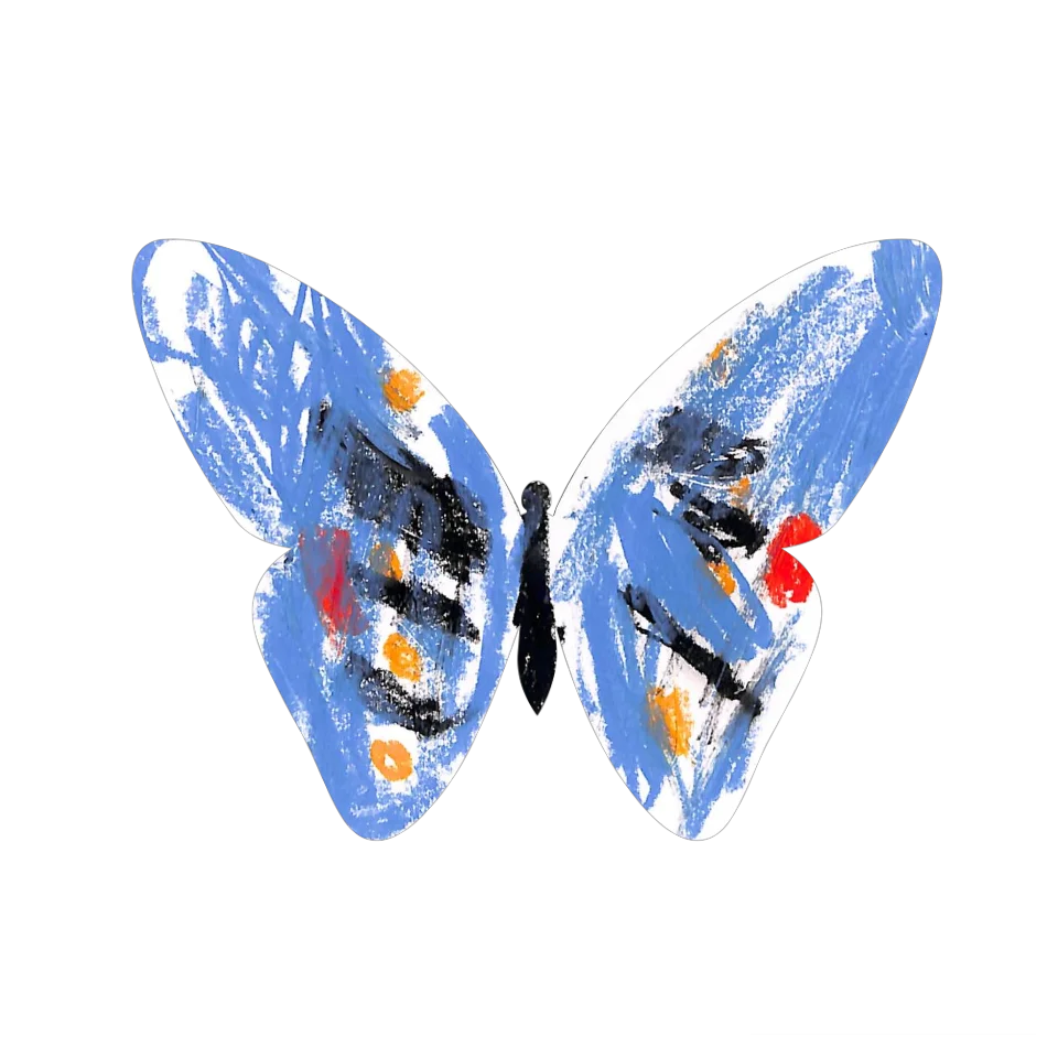 Original Butterfly Image