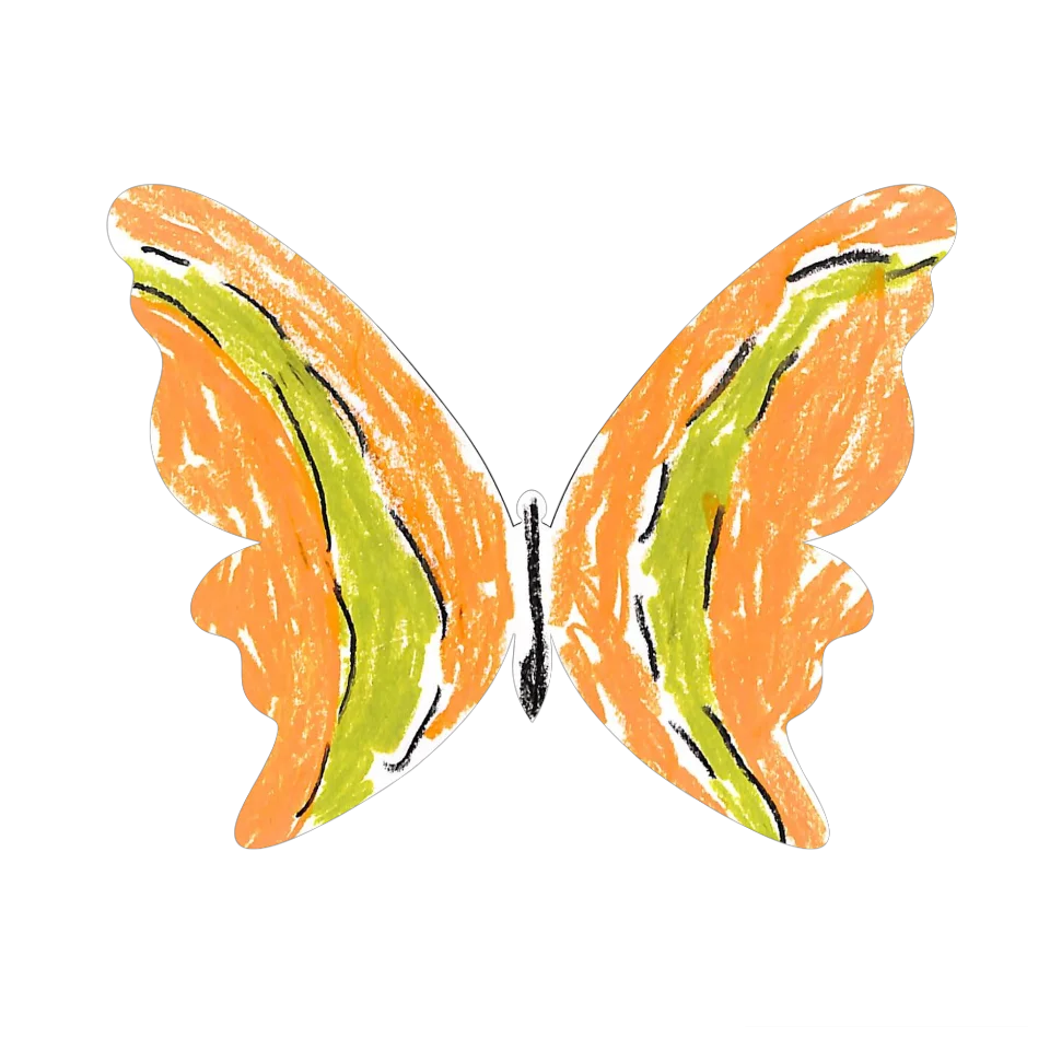 Original Butterfly Image