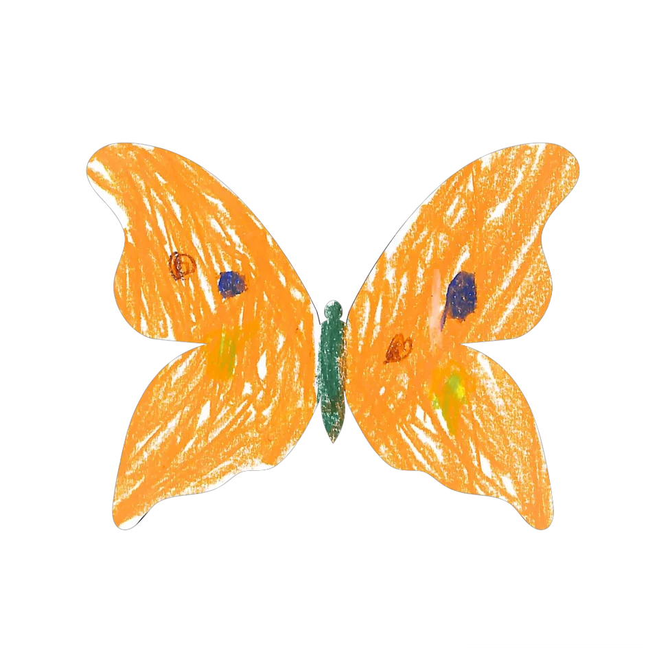 Original Butterfly Image