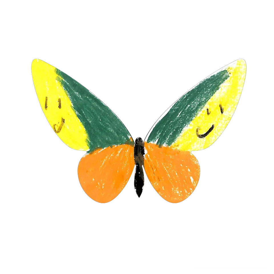 Original Butterfly Image