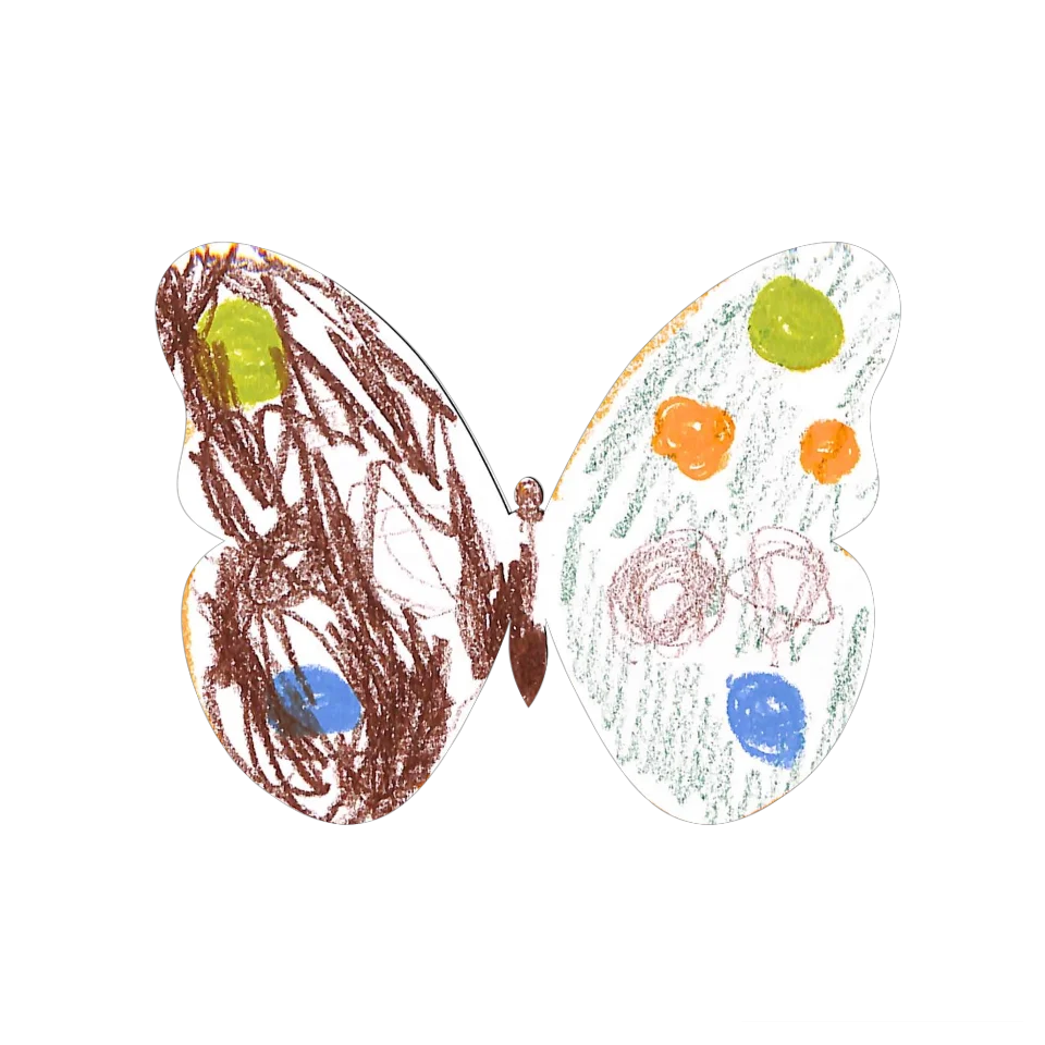 Original Butterfly Image