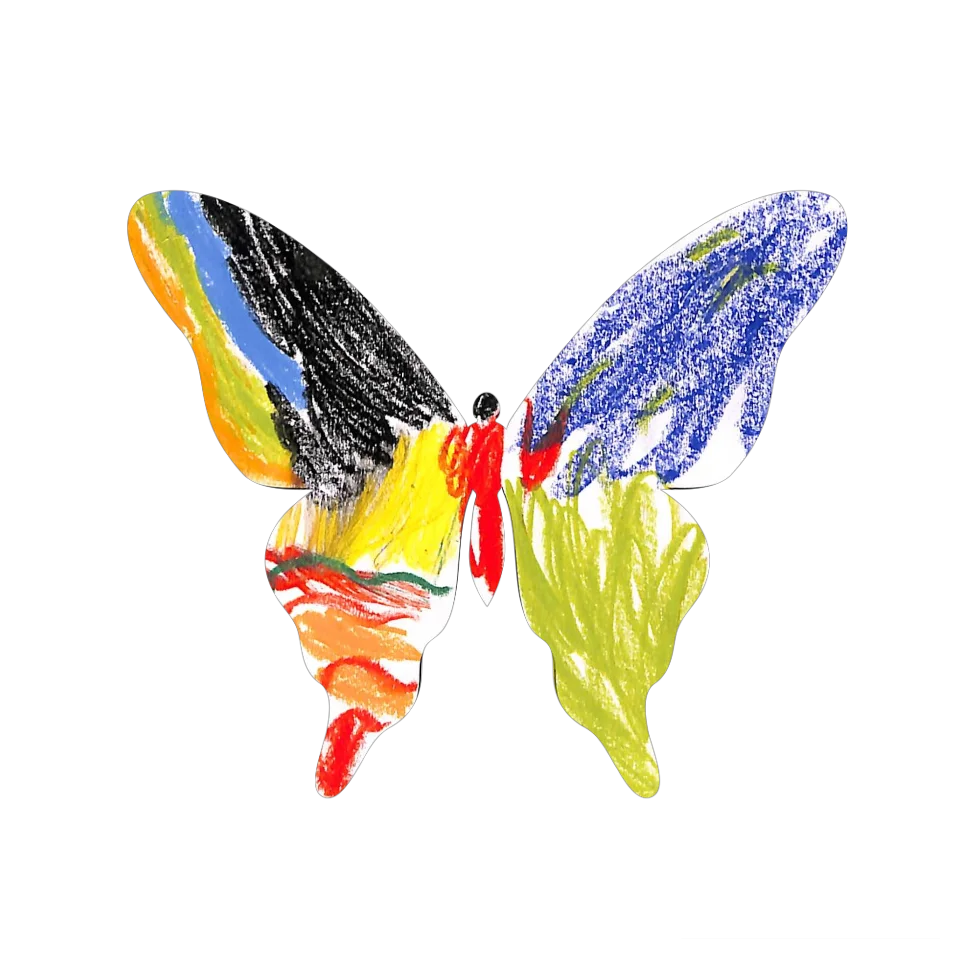 Original Butterfly Image
