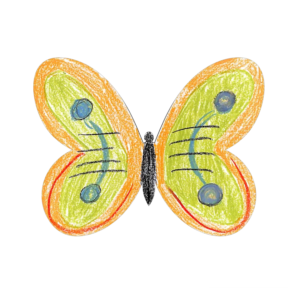 Original Butterfly Image
