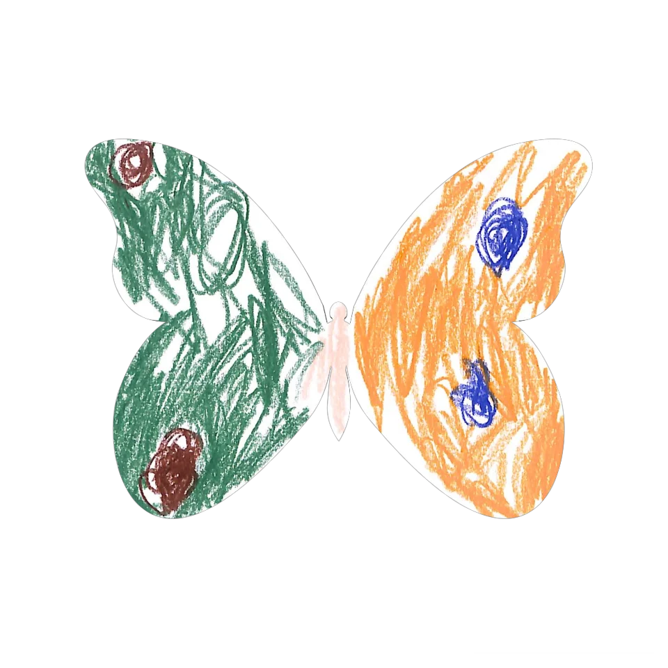 Original Butterfly Image
