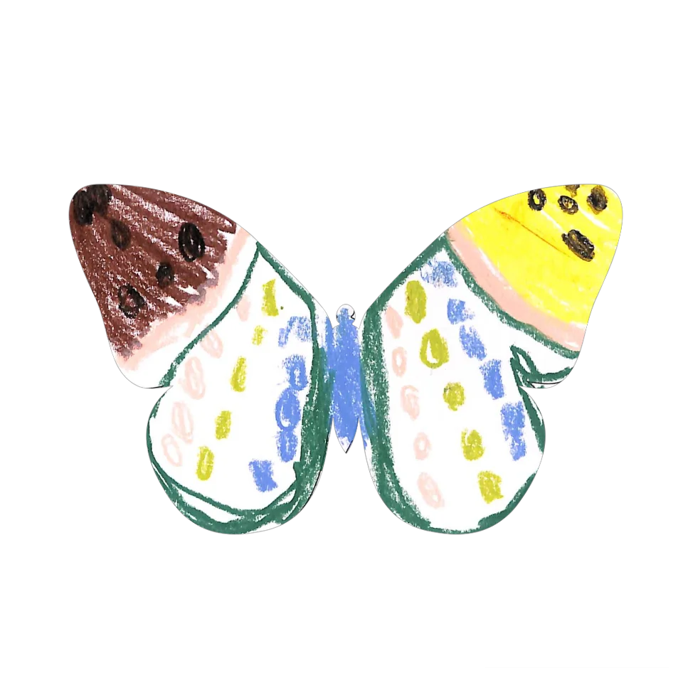 Original Butterfly Image