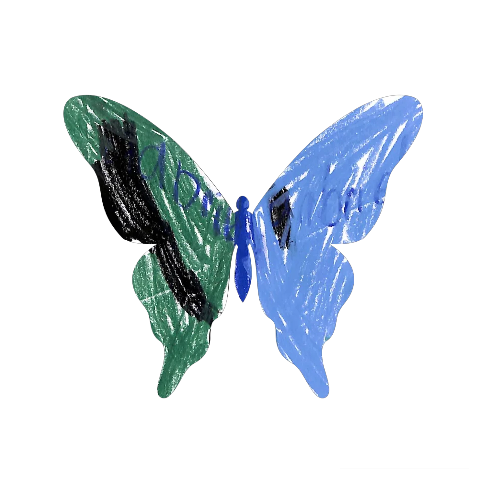 Original Butterfly Image