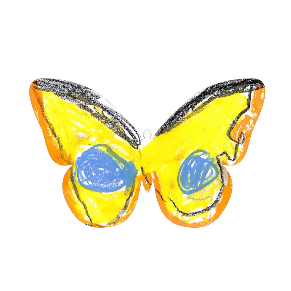 Original Butterfly Image