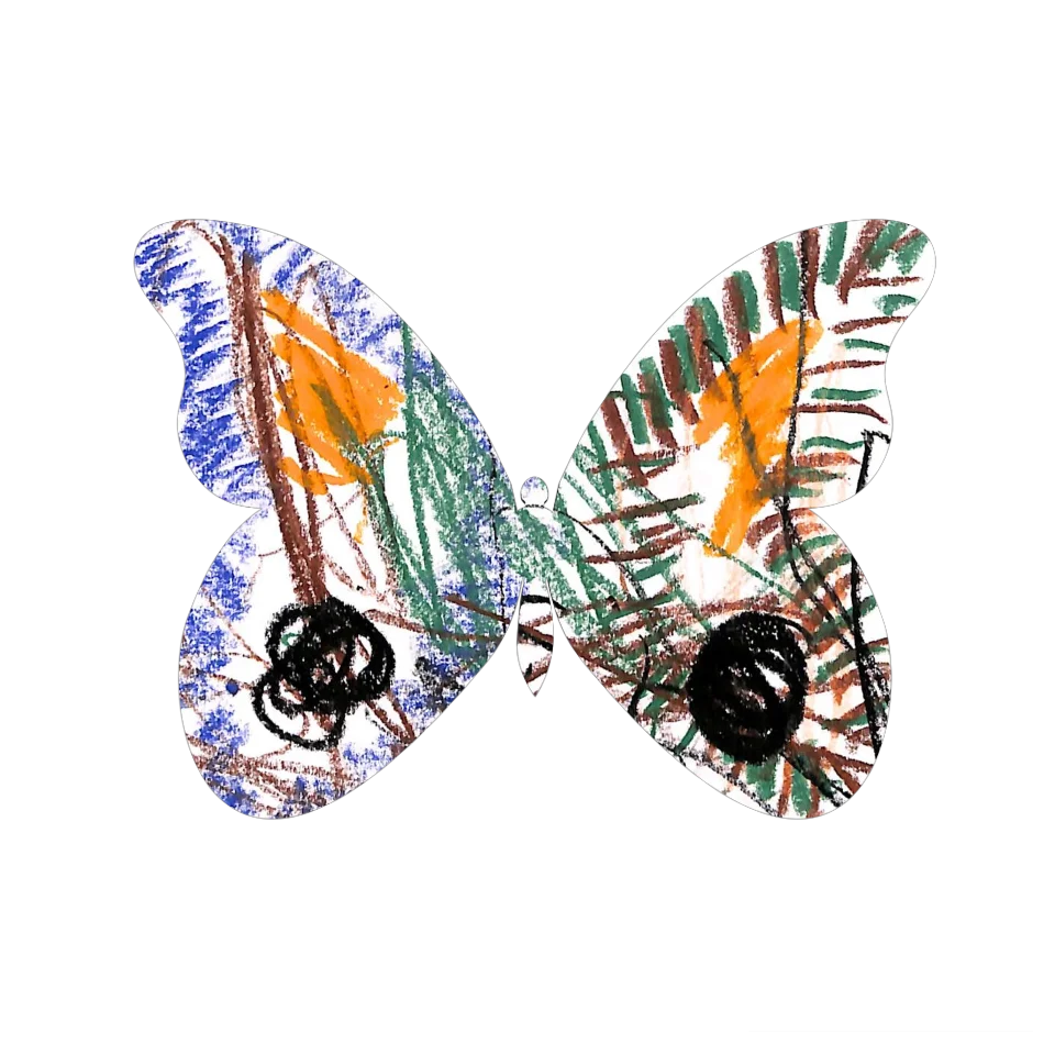 Original Butterfly Image