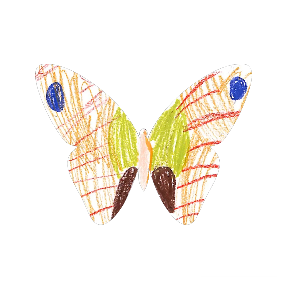 Original Butterfly Image