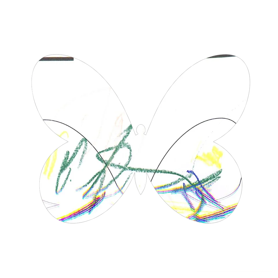 Original Butterfly Image