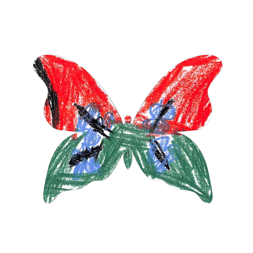 Original Butterfly Image