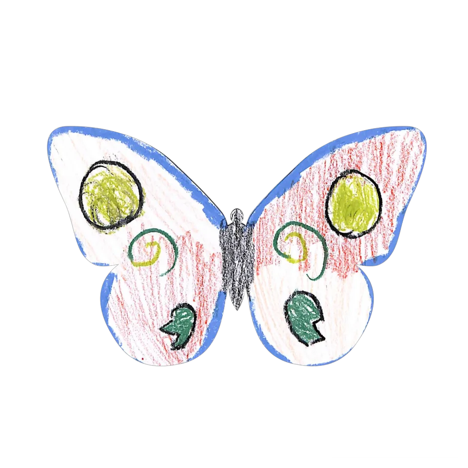 Original Butterfly Image
