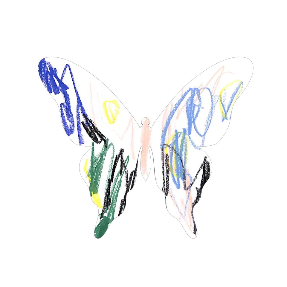 Original Butterfly Image