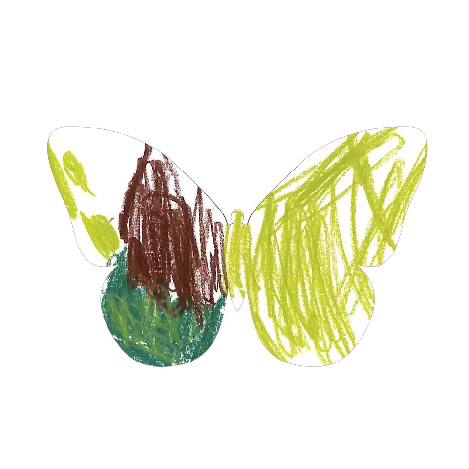 Original Butterfly Image