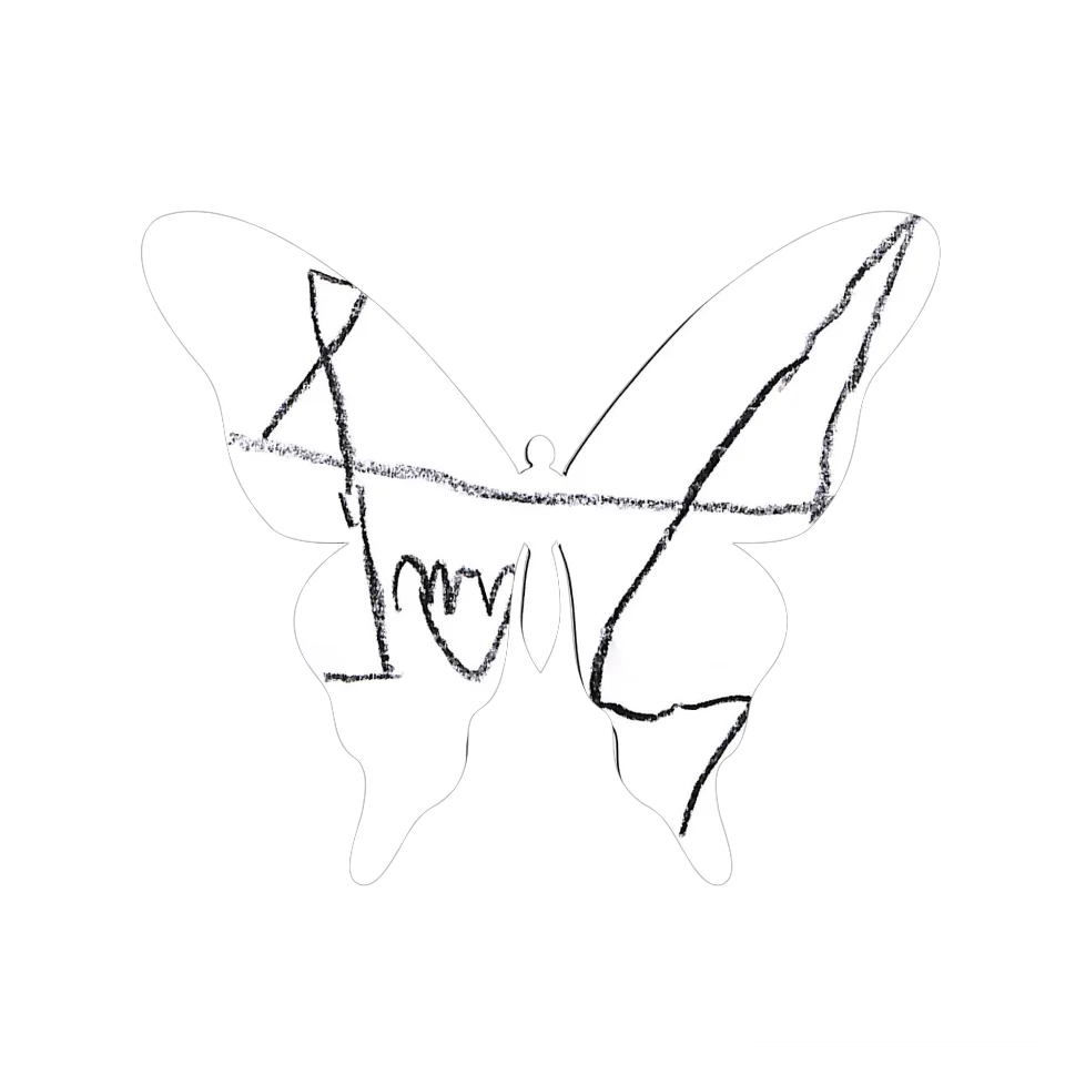 Original Butterfly Image