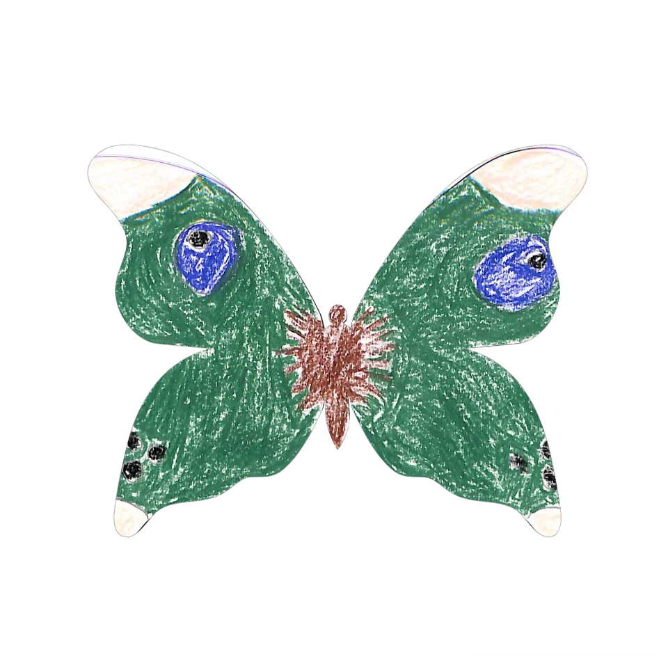 Original Butterfly Image