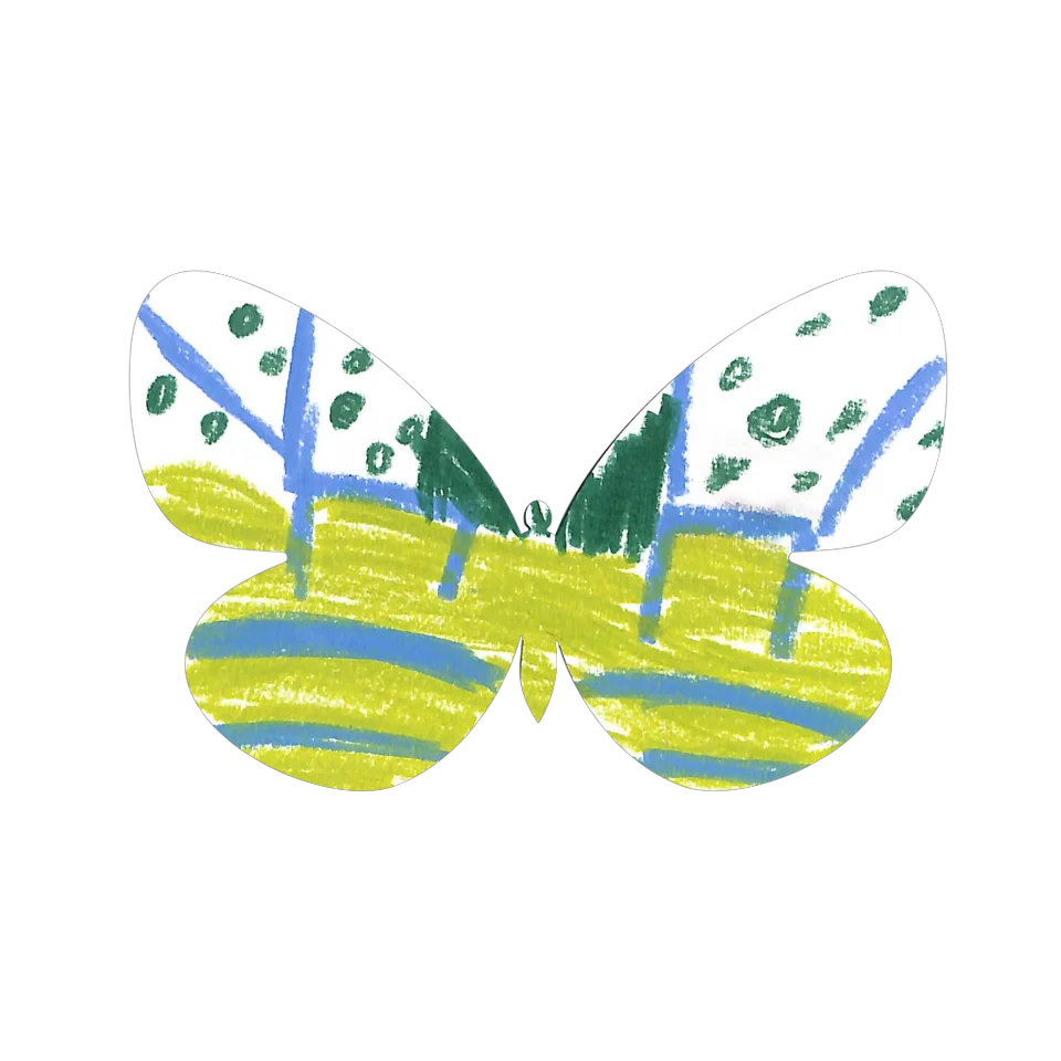 Original Butterfly Image