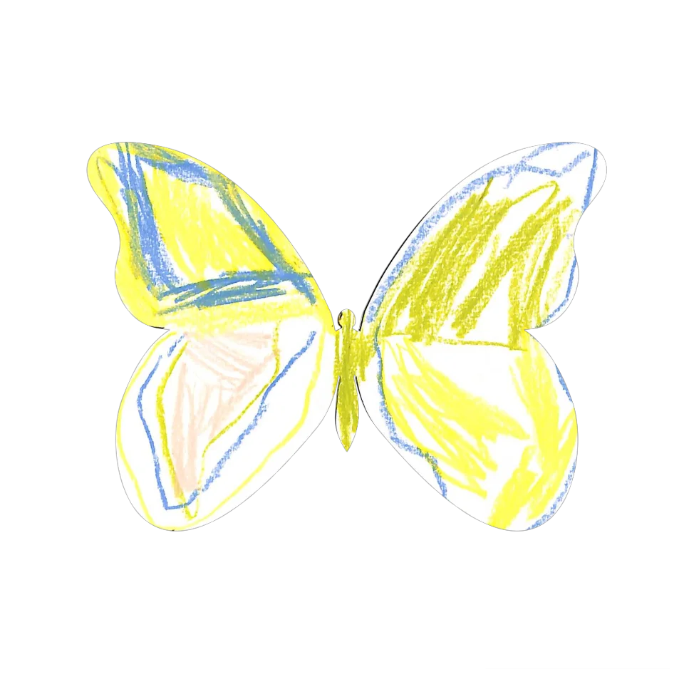 Original Butterfly Image