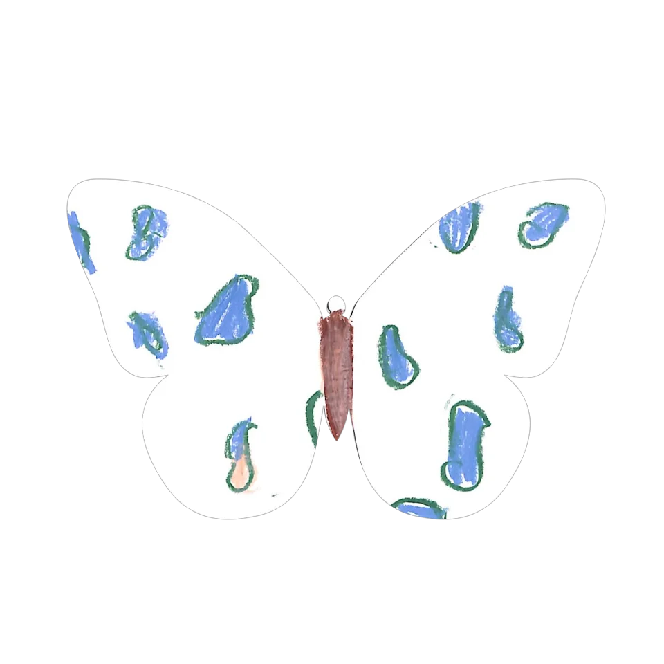 Original Butterfly Image
