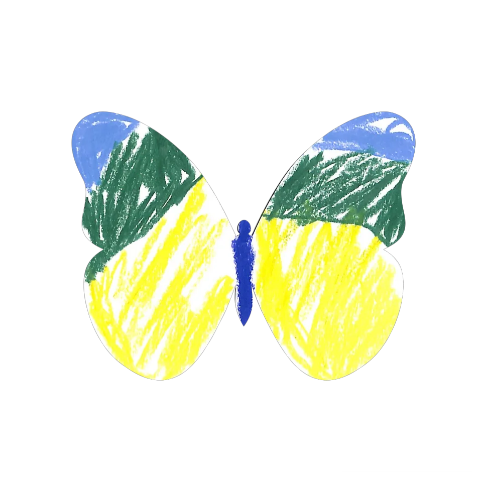Original Butterfly Image