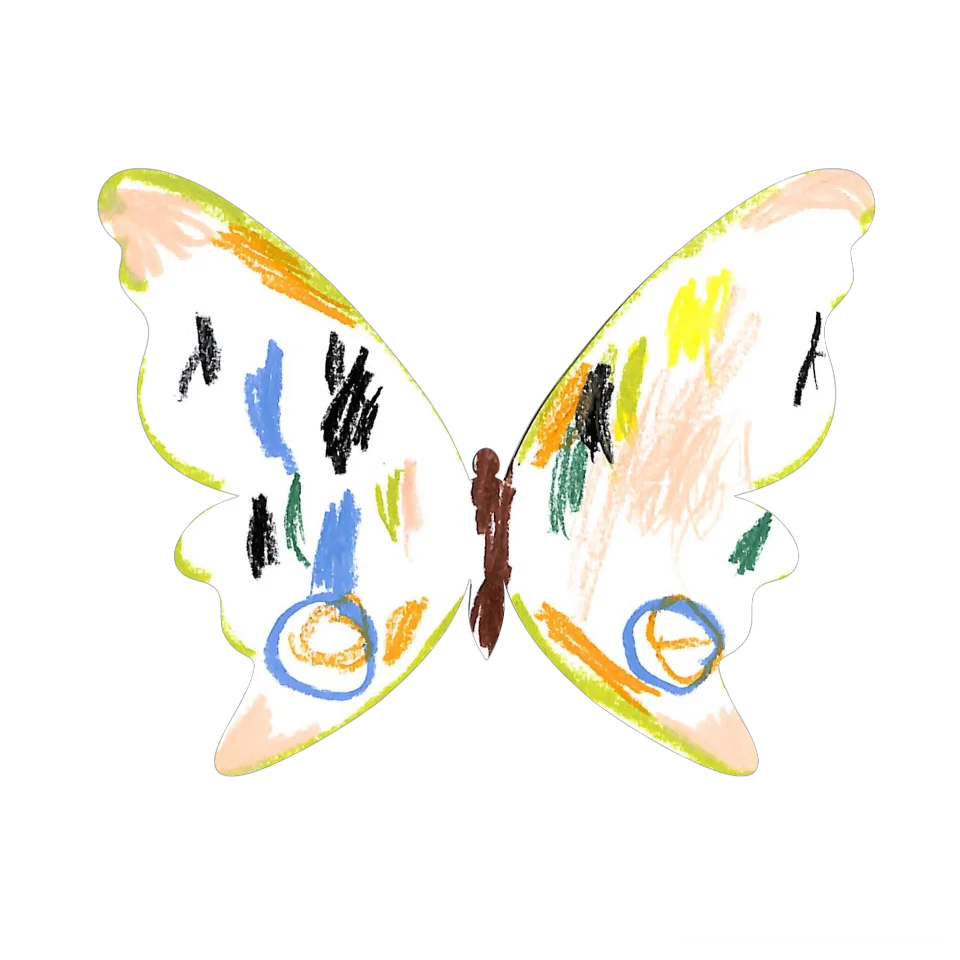 Original Butterfly Image