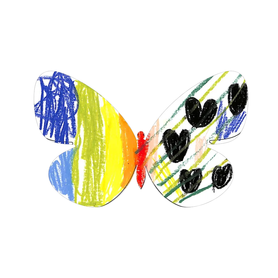 Original Butterfly Image