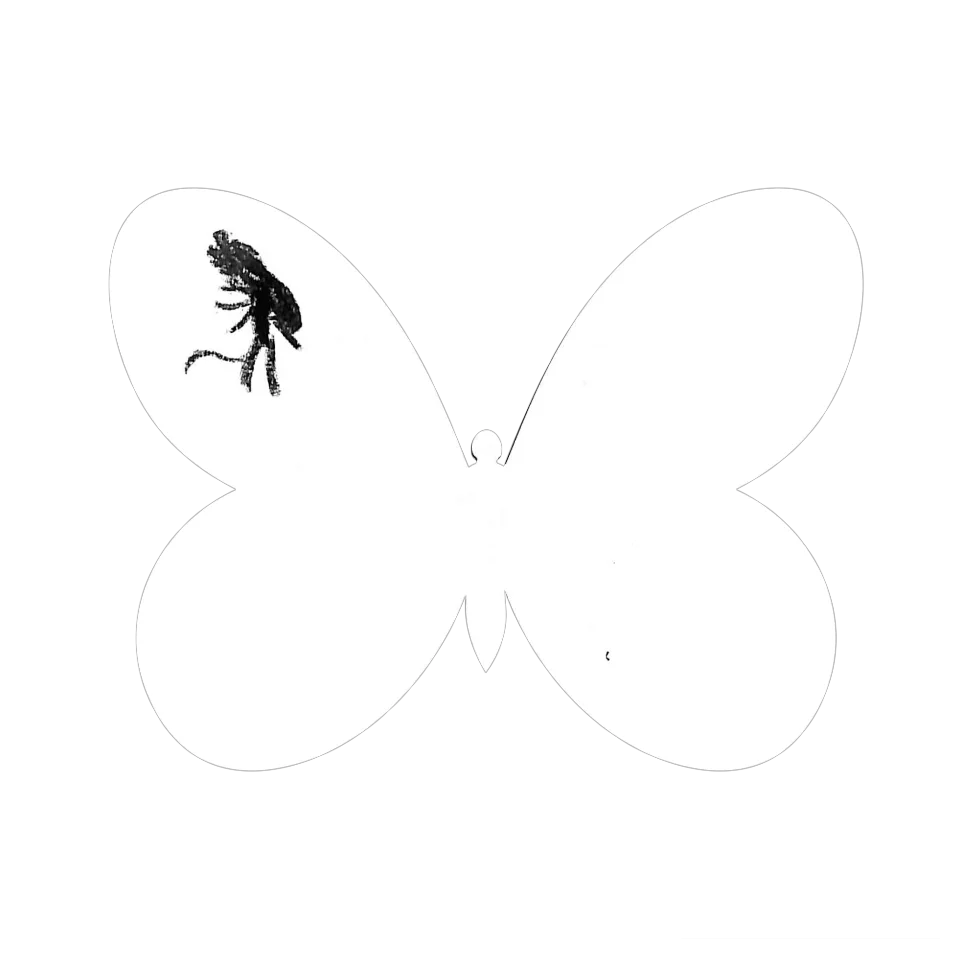Original Butterfly Image