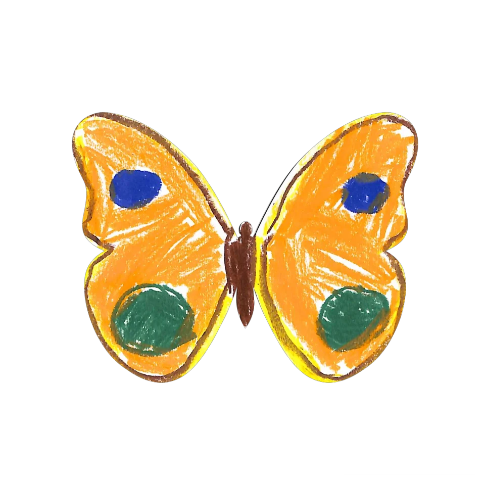 Original Butterfly Image
