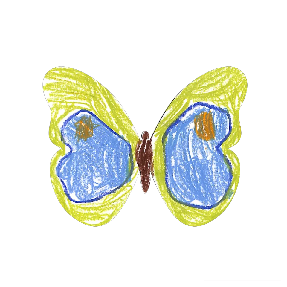 Original Butterfly Image