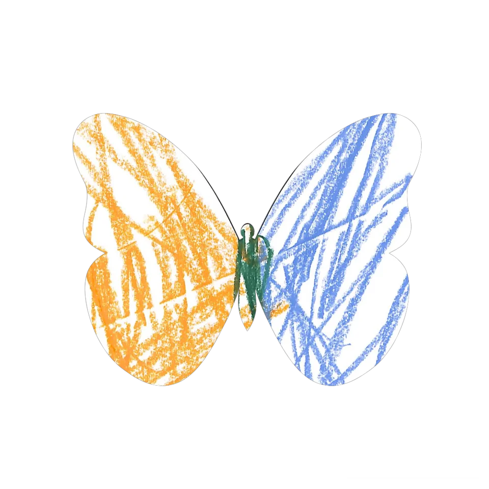 Original Butterfly Image
