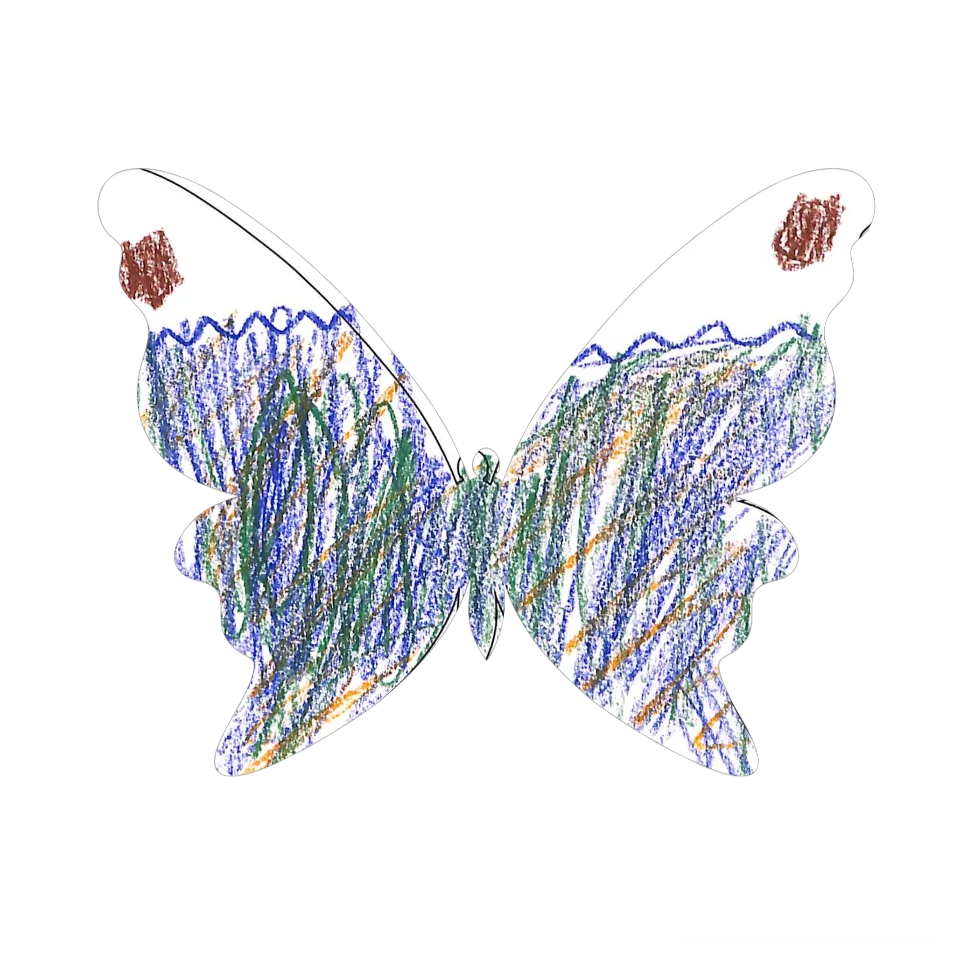 Original Butterfly Image