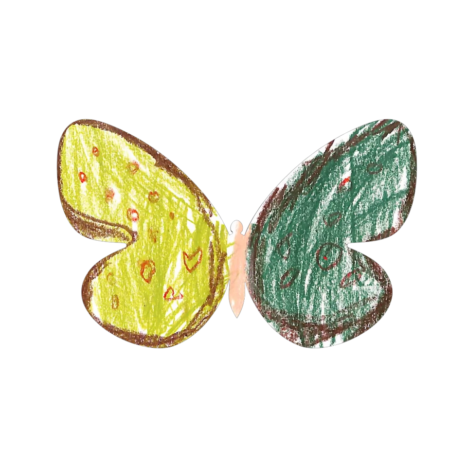 Original Butterfly Image