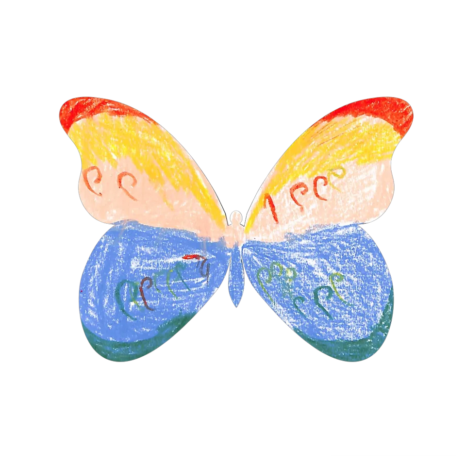Original Butterfly Image