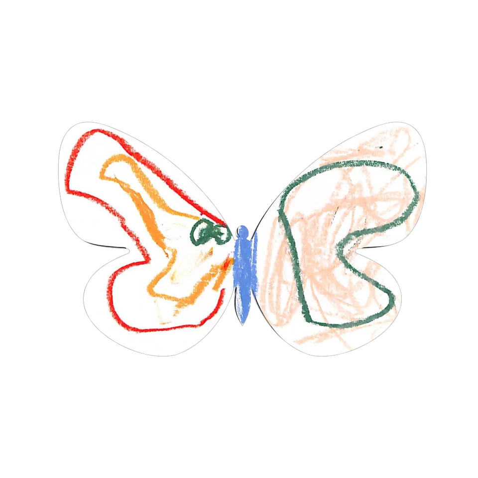Original Butterfly Image