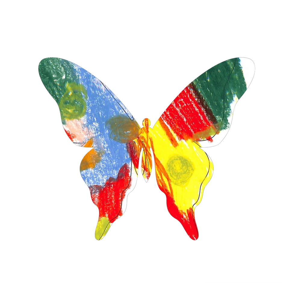 Original Butterfly Image