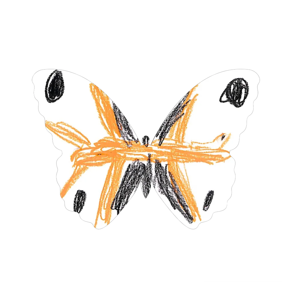 Original Butterfly Image