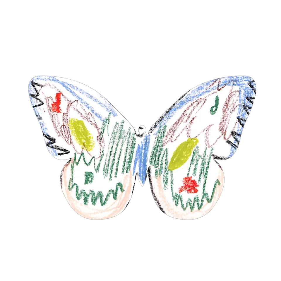 Original Butterfly Image